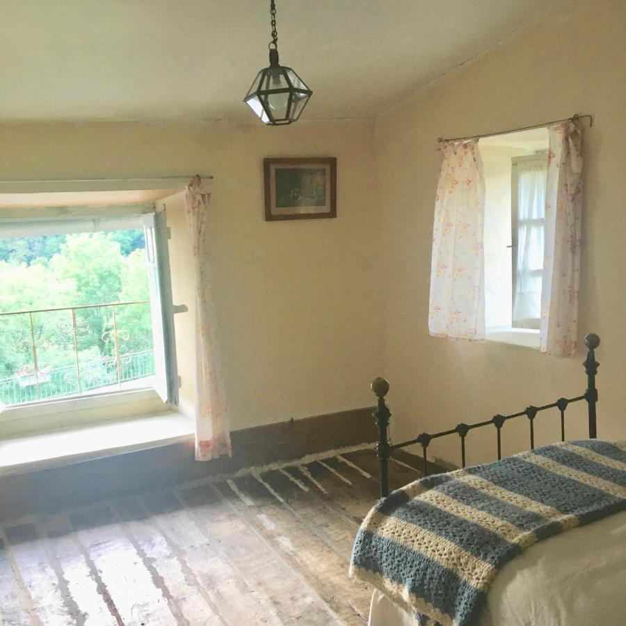 La Maison Sur La Riviere Vabre 外观 照片
