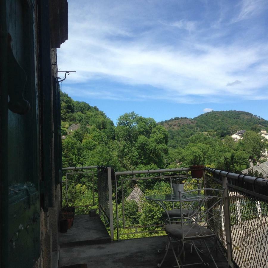 La Maison Sur La Riviere Vabre 外观 照片